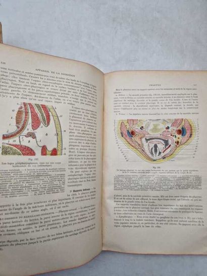 [THESES]. Set of 8 volumes, including: -...