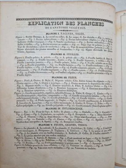 SAUCEROTTE, C. Elémens d'Histoire Naturelle,...