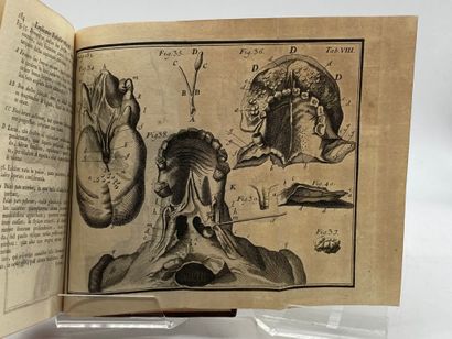 HEISTER, Lorenz. Compendium anatomicum, published...