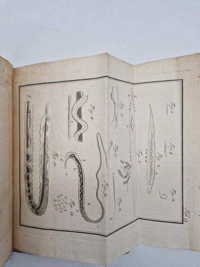 BLOCH, Marcus Elieser. Traité de la Génération...
