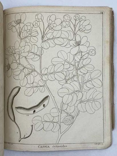 COLLADON, Louis Théodore Frédéric. Histoire...