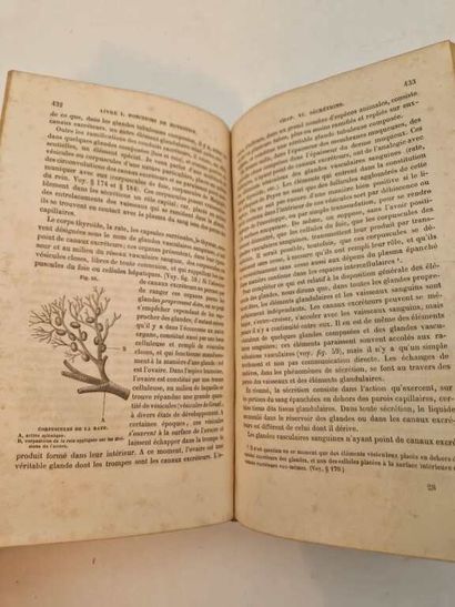 BECLARD, Jules Auguste. Traité Elémentaire...