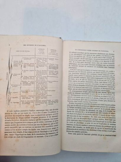 ROBIN, Charles Philippe. Leçons sur les Humeurs...