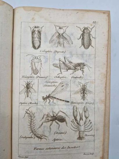 CUVIER, Georges. Tableau Elémentaire de l'Histoire...