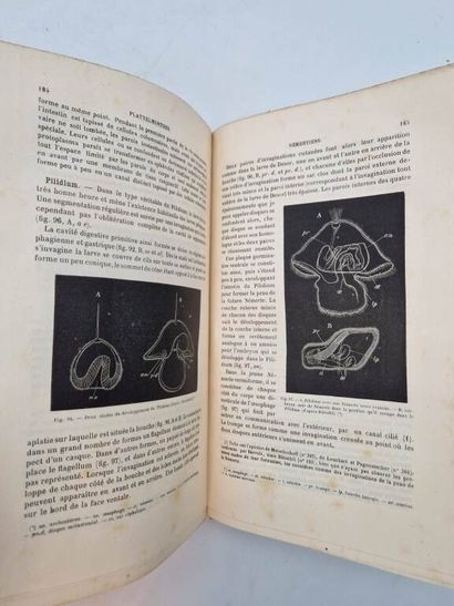 BALFOUR, Francis. Traité d'Embryologie et...