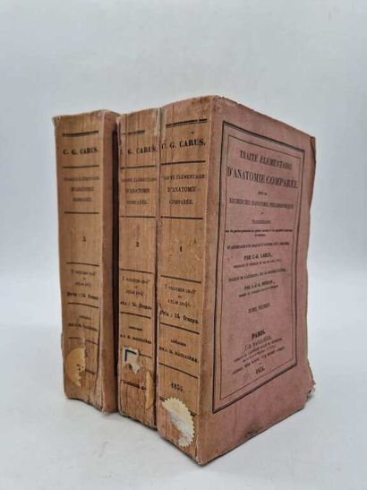GUSTAV, Carl Gustave. Traité Elémentaire...