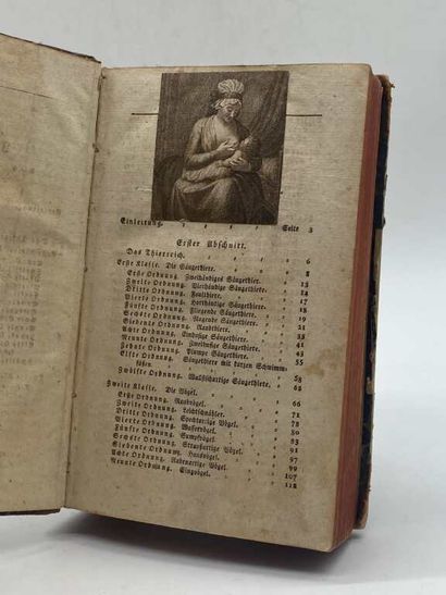 STEIN, Christian Gottfried Daniel. Handbuch...