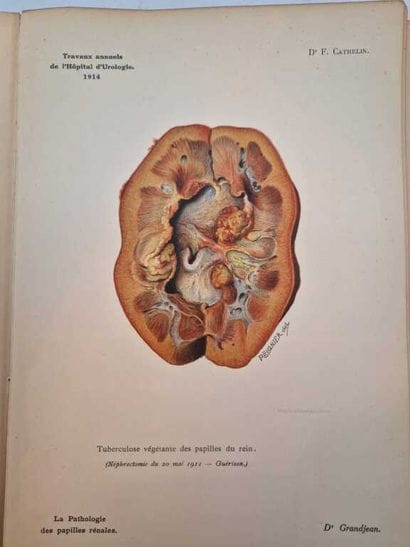 CATHELIN, François. Atlas de Cinquante Aquarelles...