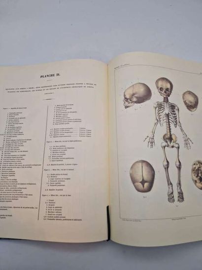 MOREAU, François-Joseph. Traité Pratique...