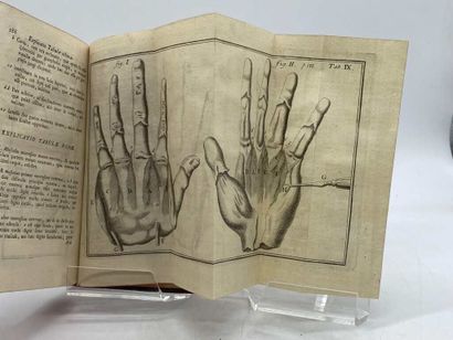 HEISTER, Lorenz. Compendium anatomicum, published...