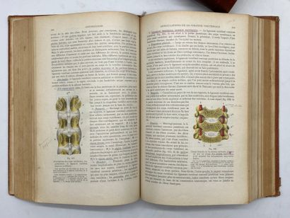 TESTUT, Léo and LATARJET, André. Traité d'anatomie...
