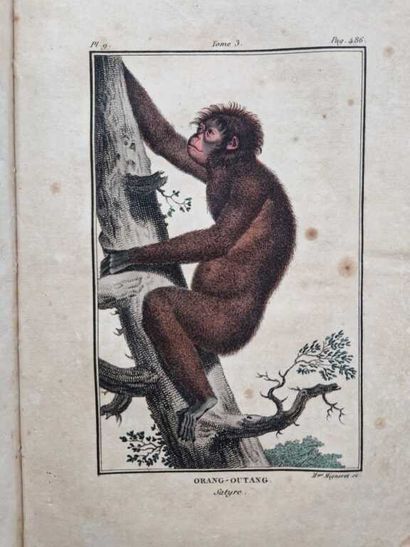 VIREY, Julien-Joseph. Histoire Naturelle...