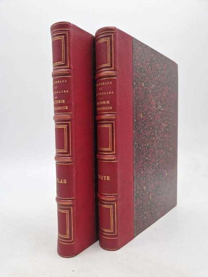 LANCEREAUX, Etienne and LACKERBAUER. Atlas...
