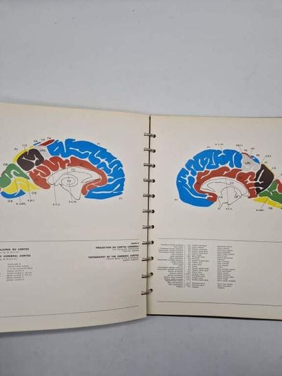 SALAMON, Georges. Atlas de la Vascularisation...
