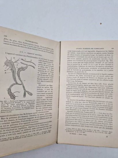 PERRIER, Rémy. Eléments d'Anatomie Comparée.
Published...