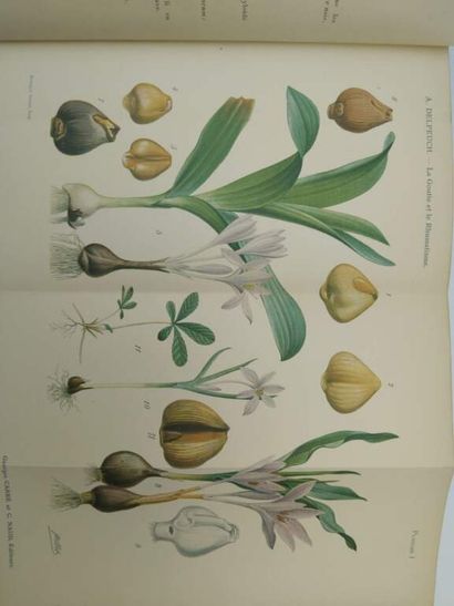 [MANETTE - MEDECINE]. Set of 9 volumes consisting...