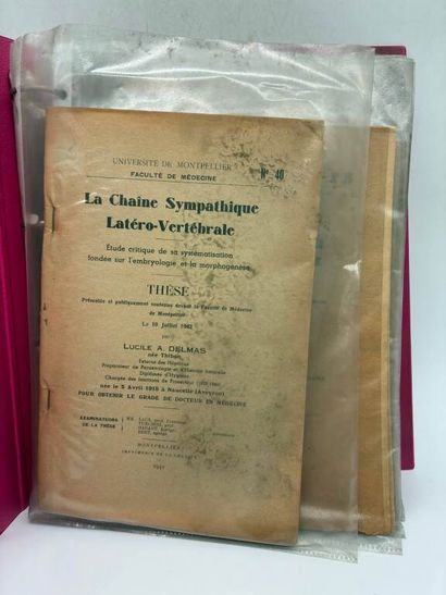 [MANETTE - MEDECINE]. Set of 13 medical theses...