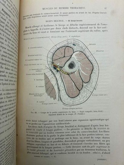 [MANETTE - MEDECINE]. Medicine set in 12...