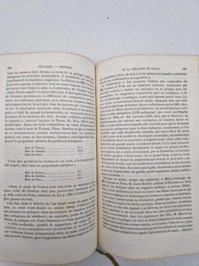 ROUSSEL, Théophile. Traité de la Pellagre...