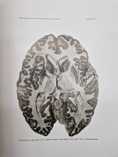 BLACKBURN, Isaac Wright. Illustrations of...