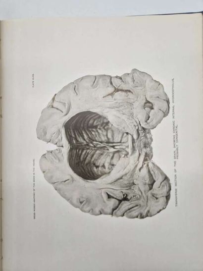 BLACKBURN, Isaac Wright. Illustrations of...