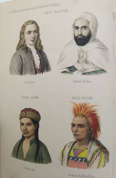 OMALIUS D'HALLOY, Jean Julien d'. Des races...