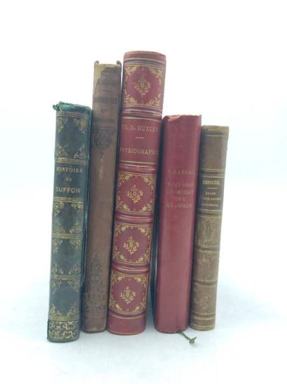 [MANETTE - SCIENCES NATURELLES]. Set of 10...