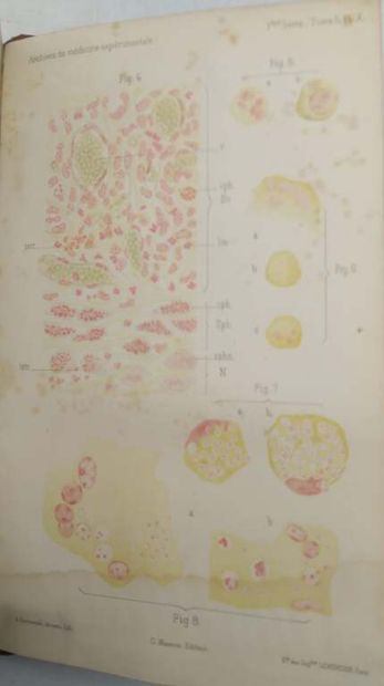 [MANETTE - MEDECINE]. Set of 6 volumes of...