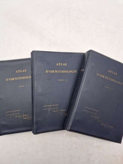 [ORNITHOLOGY]. Atlas.
Published in Paris...