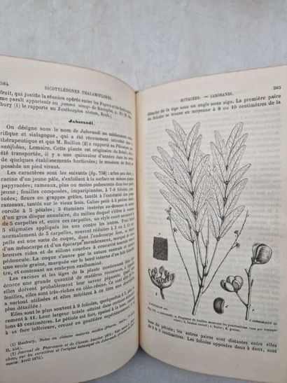 PLANCHON, Gustave. Histoire Naturelle des...