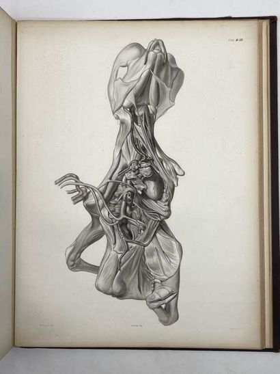 GUERIN, Jules. Atlas. Difformités congénitales...