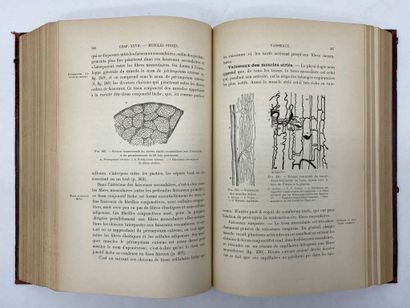 DUVAL, Mathias. Précis d'histologie.
Published...
