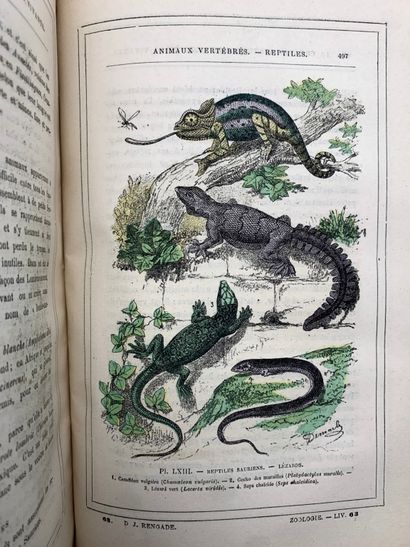 RENGADE, Jules. Natural creation and living...