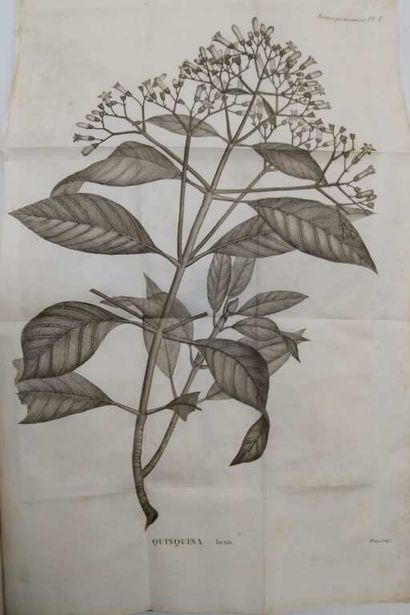 ALIBERT, Jean-Louis. Traité des fièvres pernicieuses...