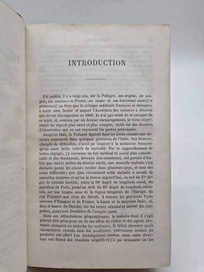 ROUSSEL, Théophile. Traité de la Pellagre...