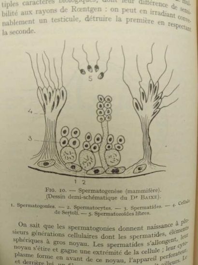 [MANETTE - PSYCHOLOGY, SEXOLOGY]. Set of...