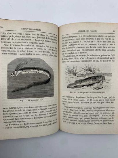 LA BLANCHÈRE, Henri de. L'Esprit des poissons.
Published...
