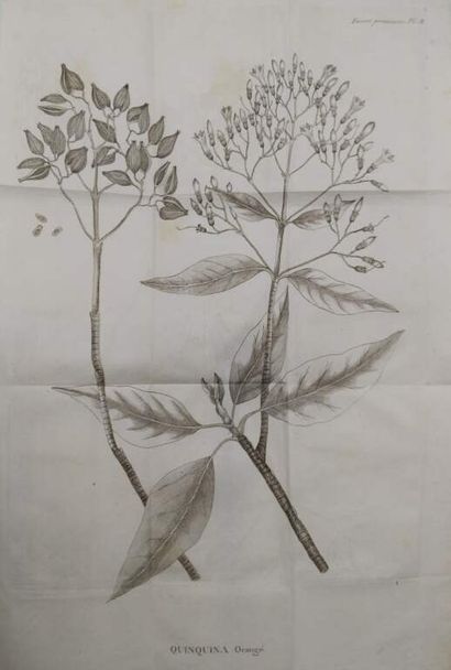 ALIBERT, Jean-Louis. Traité des fièvres pernicieuses...