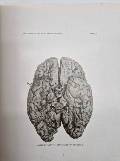 BLACKBURN, Isaac Wright. Illustrations of...