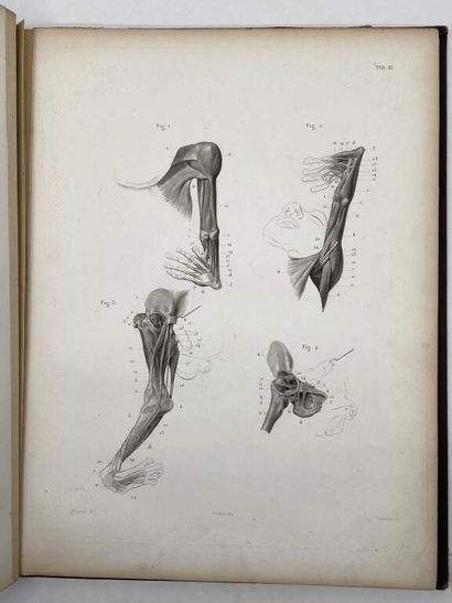 GUERIN, Jules. Atlas. Difformités congénitales...