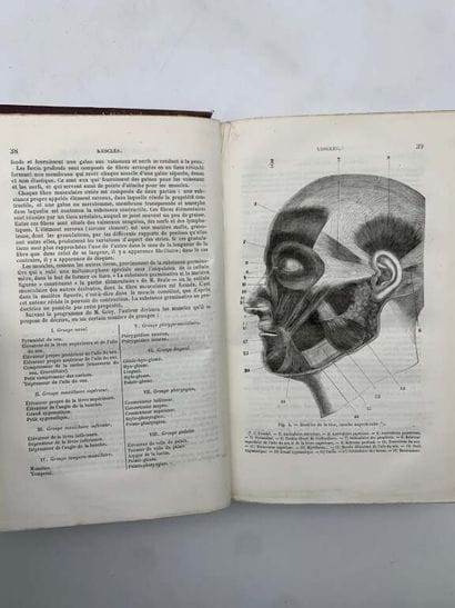 HARRIS, Chapin, AUSTEN, Philip. Traité théorique...