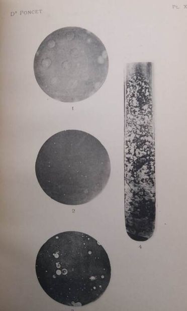 PONCET, François. Les Microbes de l'eau de...