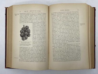 DUVAL, Mathias. Précis d'histologie.
Published...