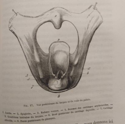 FOURNIE, Edouard. Physiology of voice and...