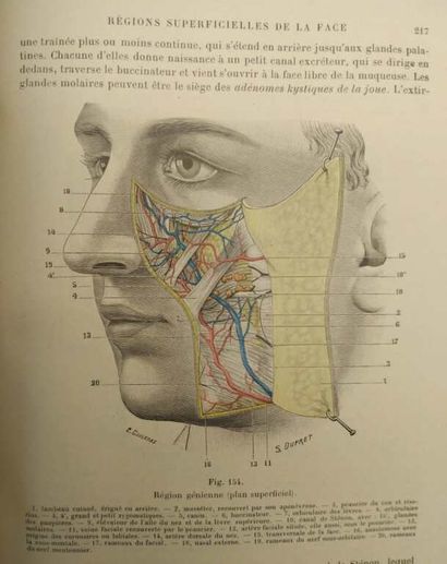 TESTUT, Léo and JACOB, O. Traité d'anatomie...