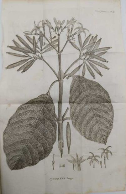 ALIBERT, Jean-Louis. Traité des fièvres pernicieuses...