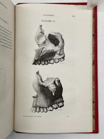 FAIVRE, Ernest. Goethe's scientific works.
Published...