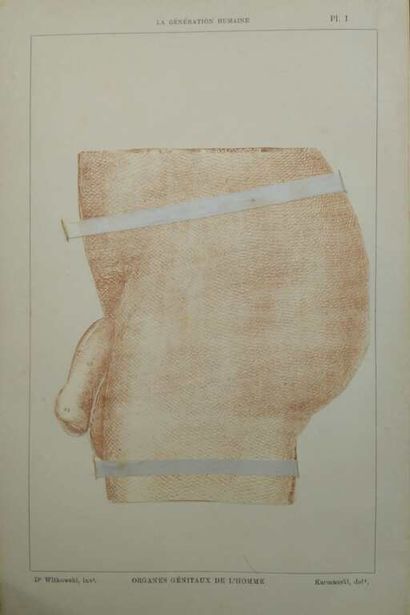 WITKOWSKI, Gustave-joseph. Set of 2 volumes...