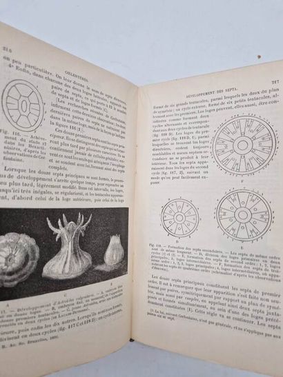 PERRIER, Rémy. Eléments d'Anatomie Comparée.
Published...