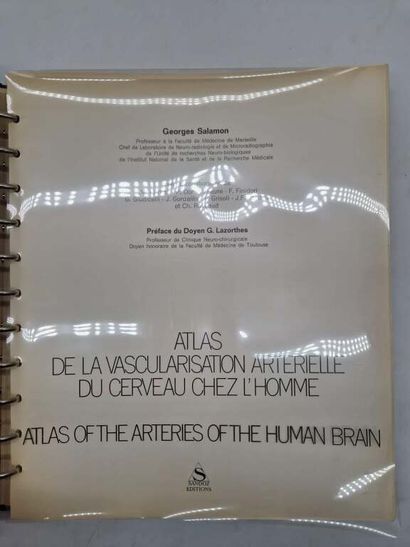 SALAMON, Georges. Atlas de la Vascularisation...